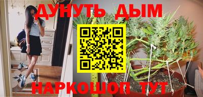 прущие грибы Бузулук