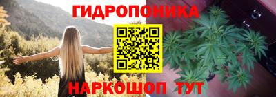 тгк Кандалакша