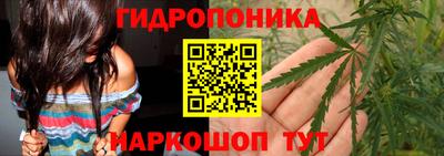 тгк Кандалакша