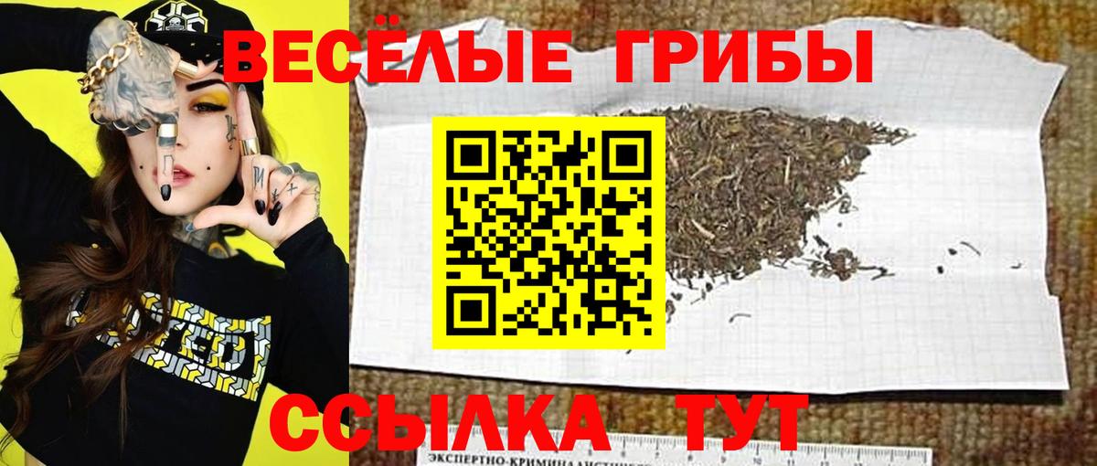 Фролово  Псилоцибиновые грибы Psilocybe  Вход с VPN  Галлюциногенные грибы Cubensis 