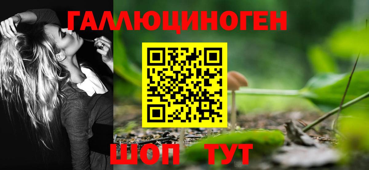 Галлюциногенные грибы мухоморы  Псилоцибиновые грибы Psilocybe  Фролово 