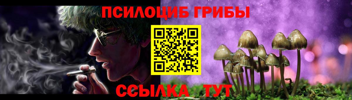 Псилоцибиновые грибы прущие грибы Фролово