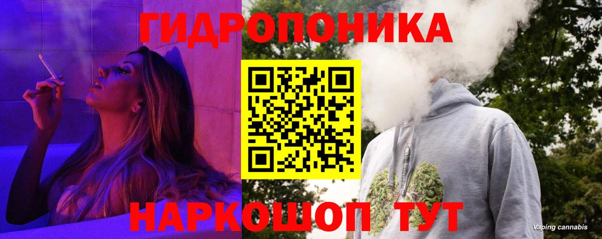 Каннабис White Widow  МАРИХУАНА ГИДРОПОН  Фролово  Вход с VPN  Конопля планчик  Конопля гибрид 